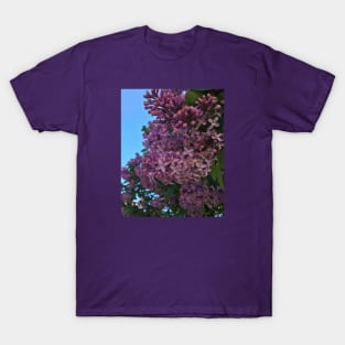 Blooming Purple Flowers T-Shirt